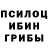 Псилоцибиновые грибы прущие грибы CampBell House