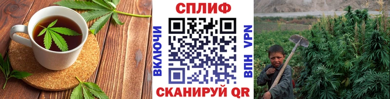 даркнет сайт Кисловодск Canna-Cookies марихуана