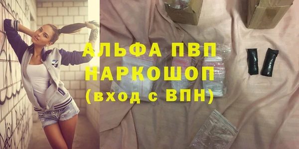 индика Кинешма