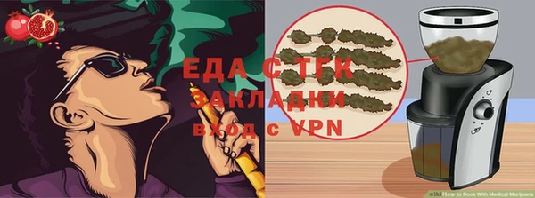 индика Кинешма