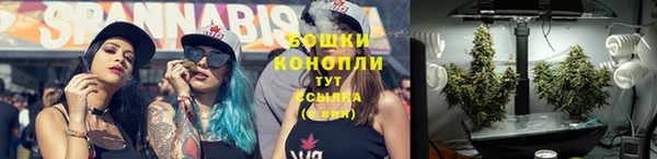 индика Кинешма