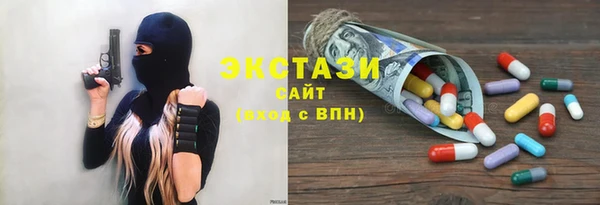 индика Кинешма