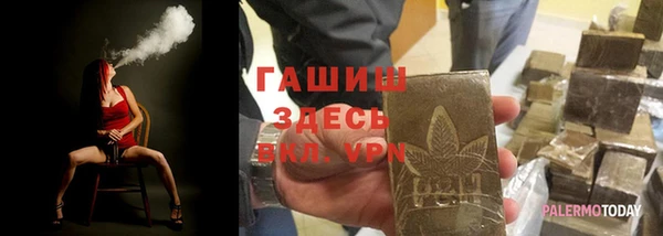 индика Кинешма