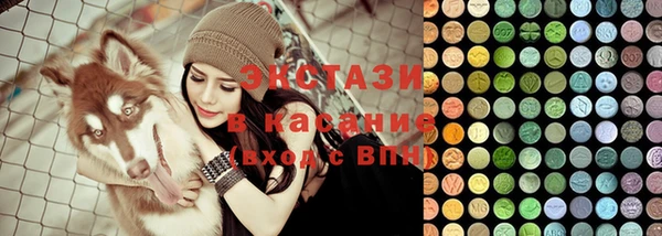 индика Кинешма