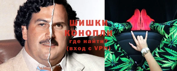 индика Кинешма