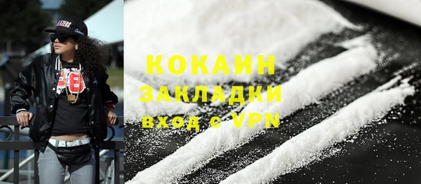индика Кинешма