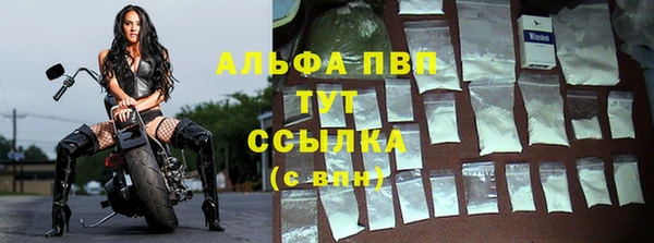 индика Кинешма