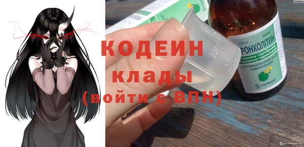 индика Кинешма