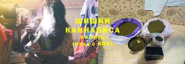 индика Кинешма