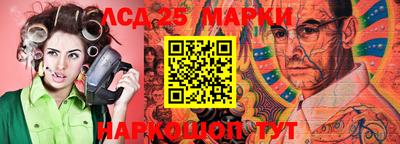 гашик Кандалакша