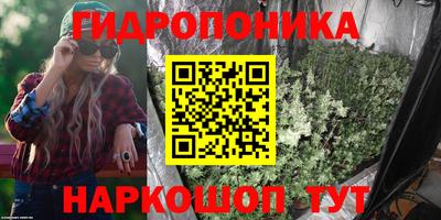 гашик Кандалакша