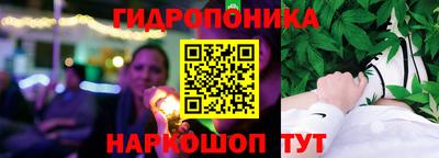 гашик Кандалакша