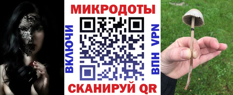Псилоцибиновые грибы Psilocybe  Кисловодск 