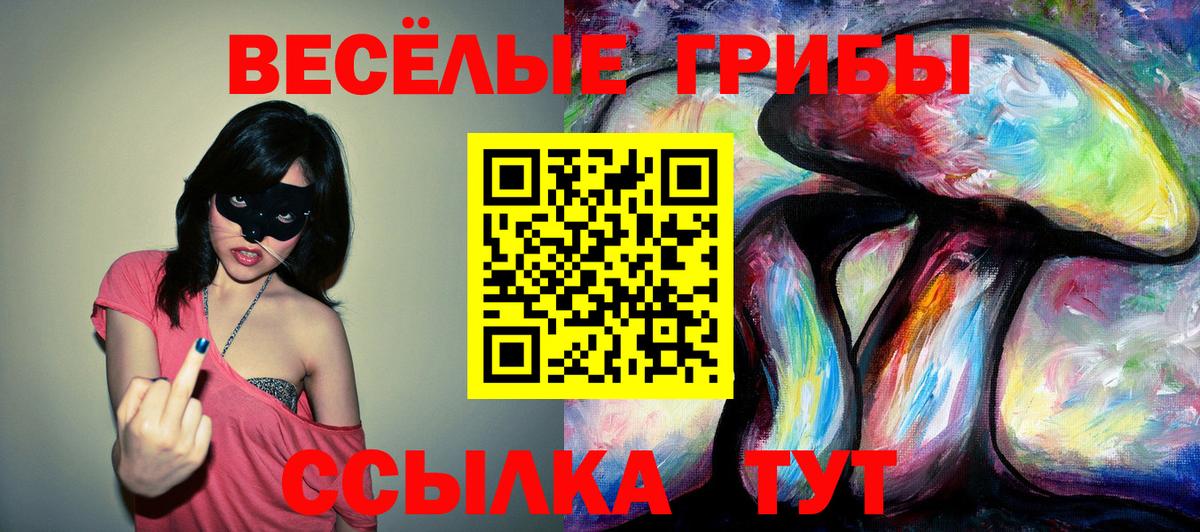 Галлюциногенные грибы Psilocybe Кисловодск