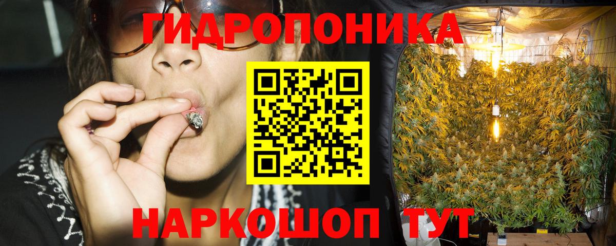 Кисловодск  МАРИХУАНА конопля  Бошки Шишки план  Вход с VPN  Канабис LSD WEED  Канабис семена 